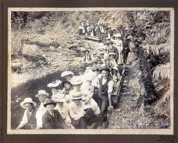 Borough's sawmill picnic